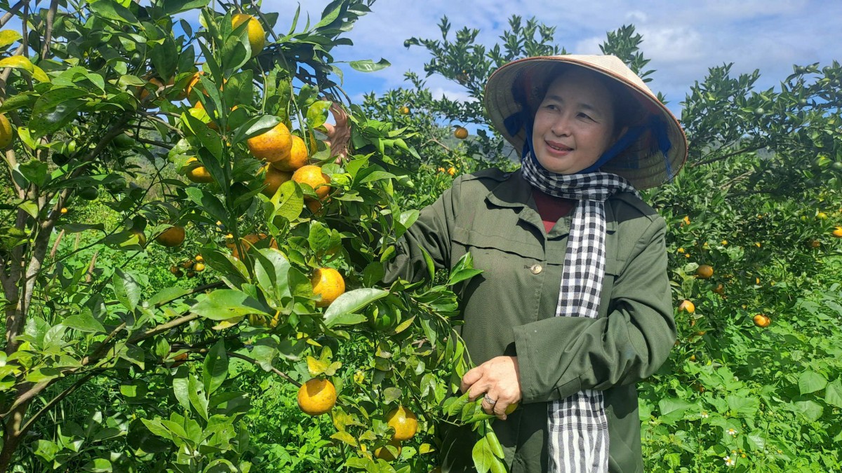 Đồng Nai đẩy mạnh sản xuất trồng trọt giảm phát thải