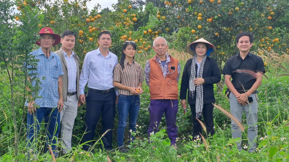 HTX Nông-Lâm nghiệp hữu cơ Quảng Phú: Hành trình hữu cơ trên vùng đá núi lửa