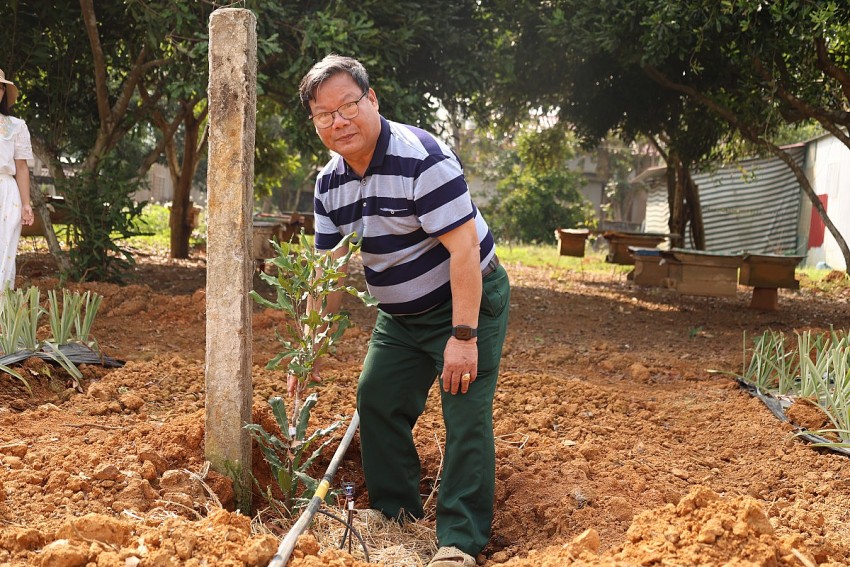 Mắc ca - Cây đến “muộn” với vùng đất Thạch Thành
