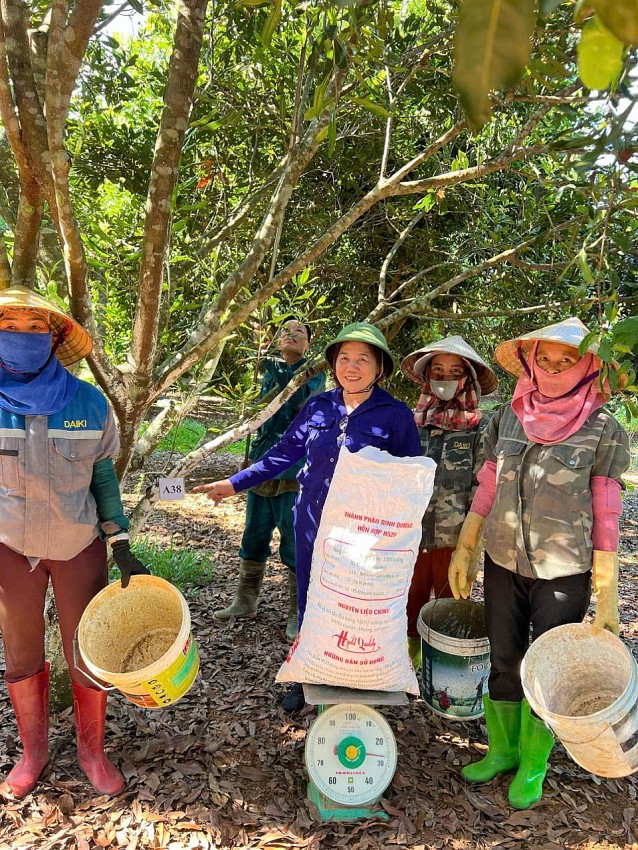Mắc ca - Cây đến “muộn” với vùng đất Thạch Thành
