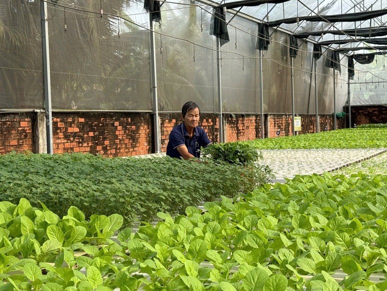 Công nghệ tưới tiết kiệm nước giải phóng sức lao động