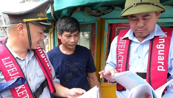 Quảng Ninh: 100% tàu cá từ 06m trở lên đã được cập nhật trên Vnfishbase