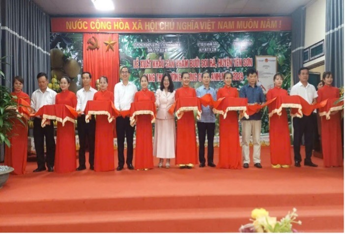 Thương hiệu bưởi Soi Hà: Hành trình nông sản Tuyên Quang vươn tầm thế giới