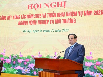 Sản xuất nông nghiệp tiếp tục phát triển ổn định theo hướng kinh tế nông nghiệp, xanh và giảm phát thải