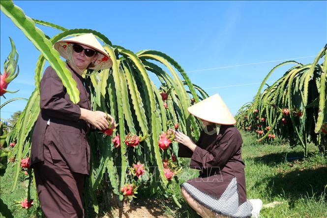 Một số điểm đến “du lịch xanh” không thể bỏ lỡ dịp Tết Dương lịch 2026