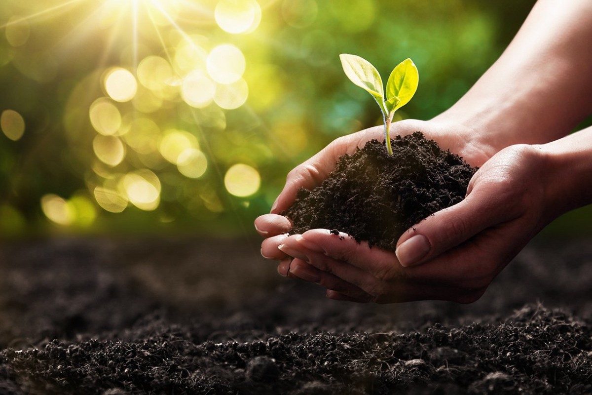 Diện tích sản xuất hữu cơ của nước ta hiện đạt hơn 174.000ha, tăng 47% so với năm 2016.