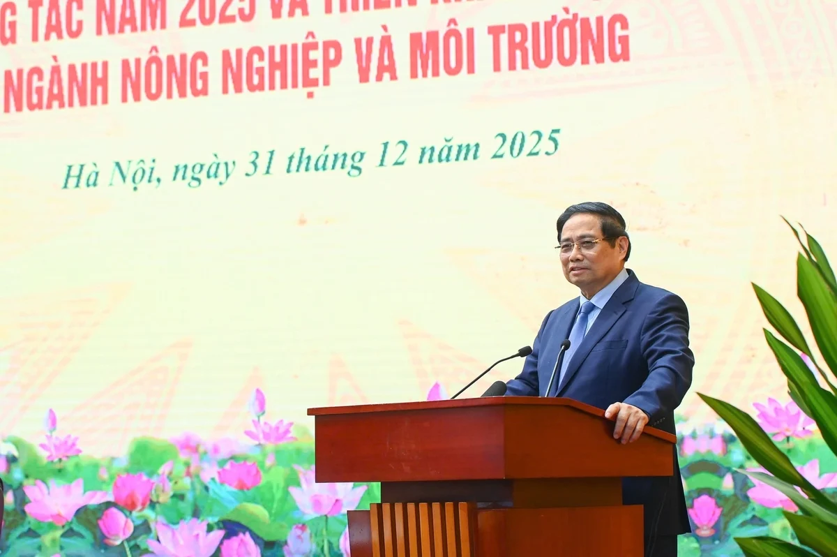 Tín chỉ carbon - “chìa khóa vàng” cho nông nghiệp hữu cơ - Bài 1: “Mỏ vàng mới” trên đồng ruộng