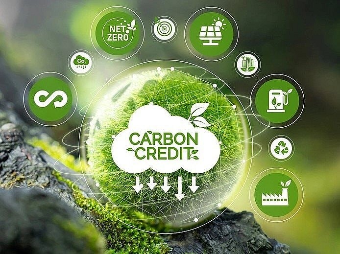 Tín chỉ carbon - “chìa khóa vàng” cho nông nghiệp hữu cơ - Bài 1: “Mỏ vàng mới” trên đồng ruộng