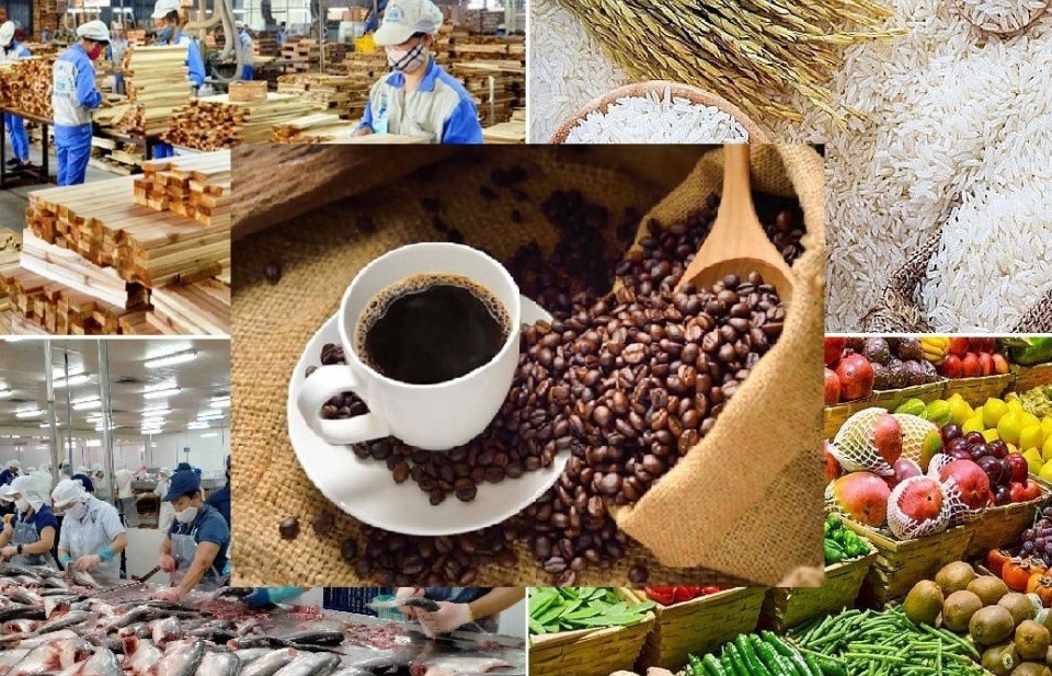 Xuất khẩu nông sản Việt Nam 2025: Kỷ lục 70 tỷ USD và khát vọng "căn bếp toàn cầu"