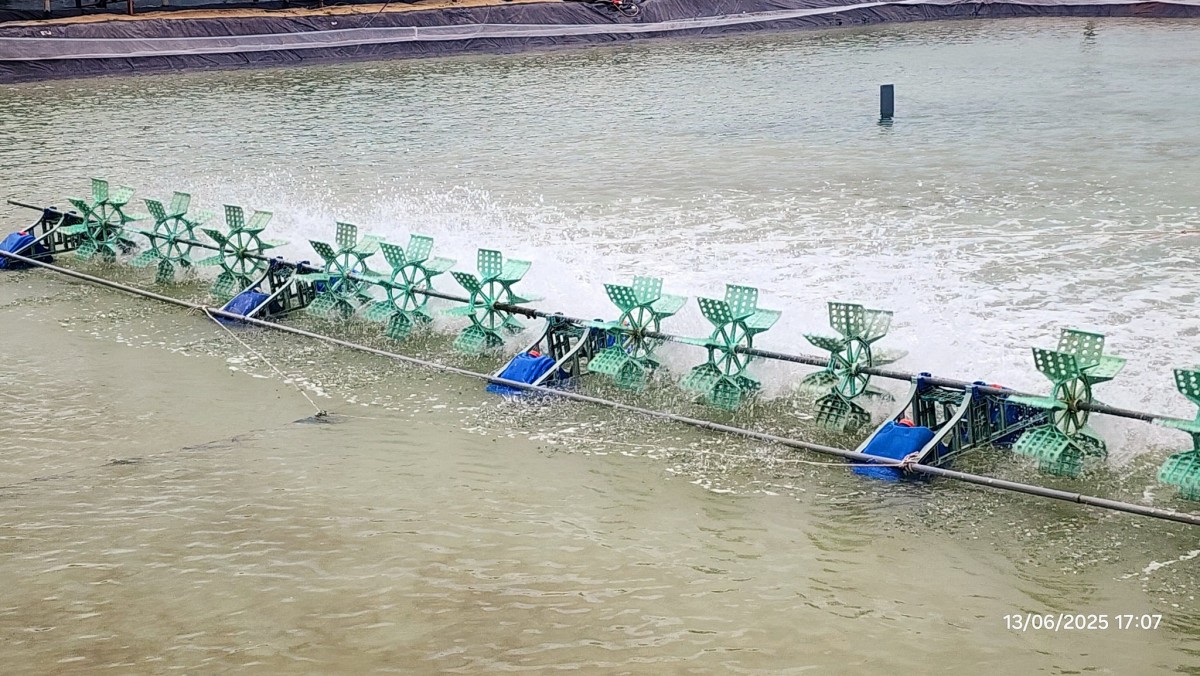 Ngành nông nghiệp và môi trường thành phố Huế tiếp tục cơ cấu sản xuất theo hướng hàng hóa tập trung, ứng dụng công nghệ cao