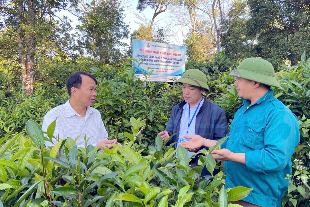 Sản xuất nông nghiệp thích ứng với biến đổi khí hậu