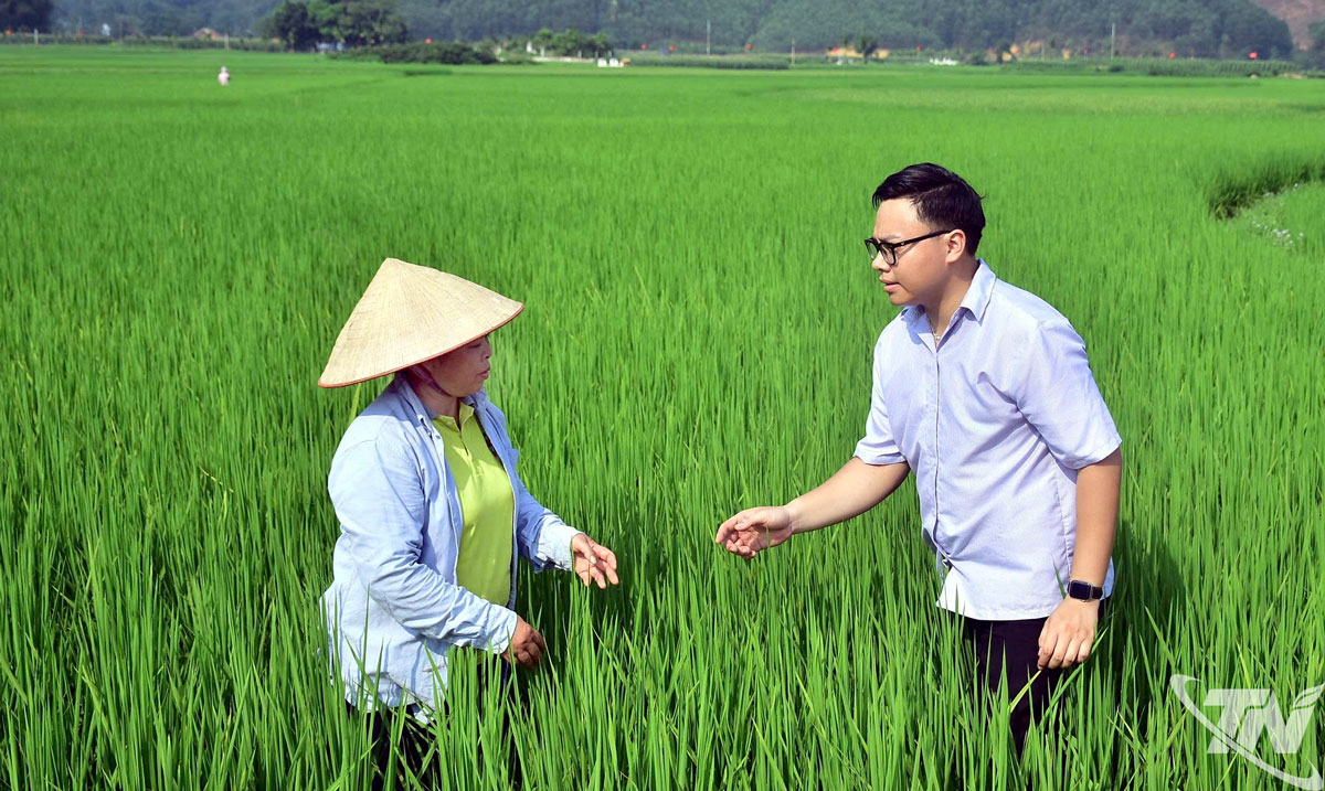 Sản xuất nông nghiệp thích ứng với biến đổi khí hậu