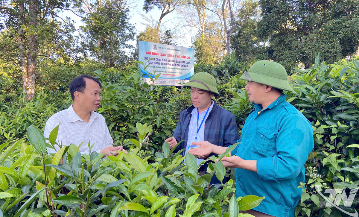 Sản xuất nông nghiệp thích ứng với biến đổi khí hậu