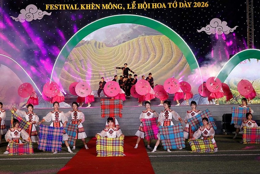 Rực rỡ sắc hoa Tớ Dày trên non cao Mù Cang Chải