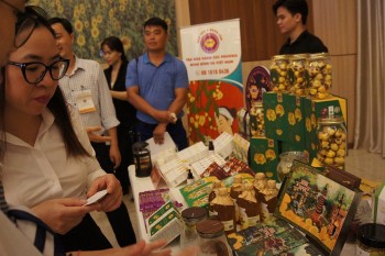 Gìn giữ cây thuốc Việt, nâng tầm giá trị từ tri thức bản địa