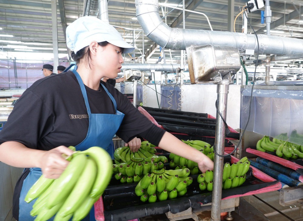 Ng&agrave;nh n&ocirc;ng nghiệp nỗ lực v&igrave; mục ti&ecirc;u tăng trưởng