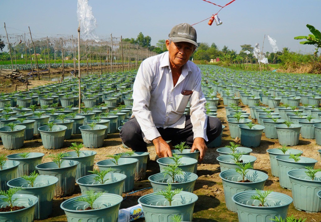 N&ocirc;ng d&acirc;n Phước L&yacute; tất bật chăm s&oacute;c hoa, rau phục vụ tết