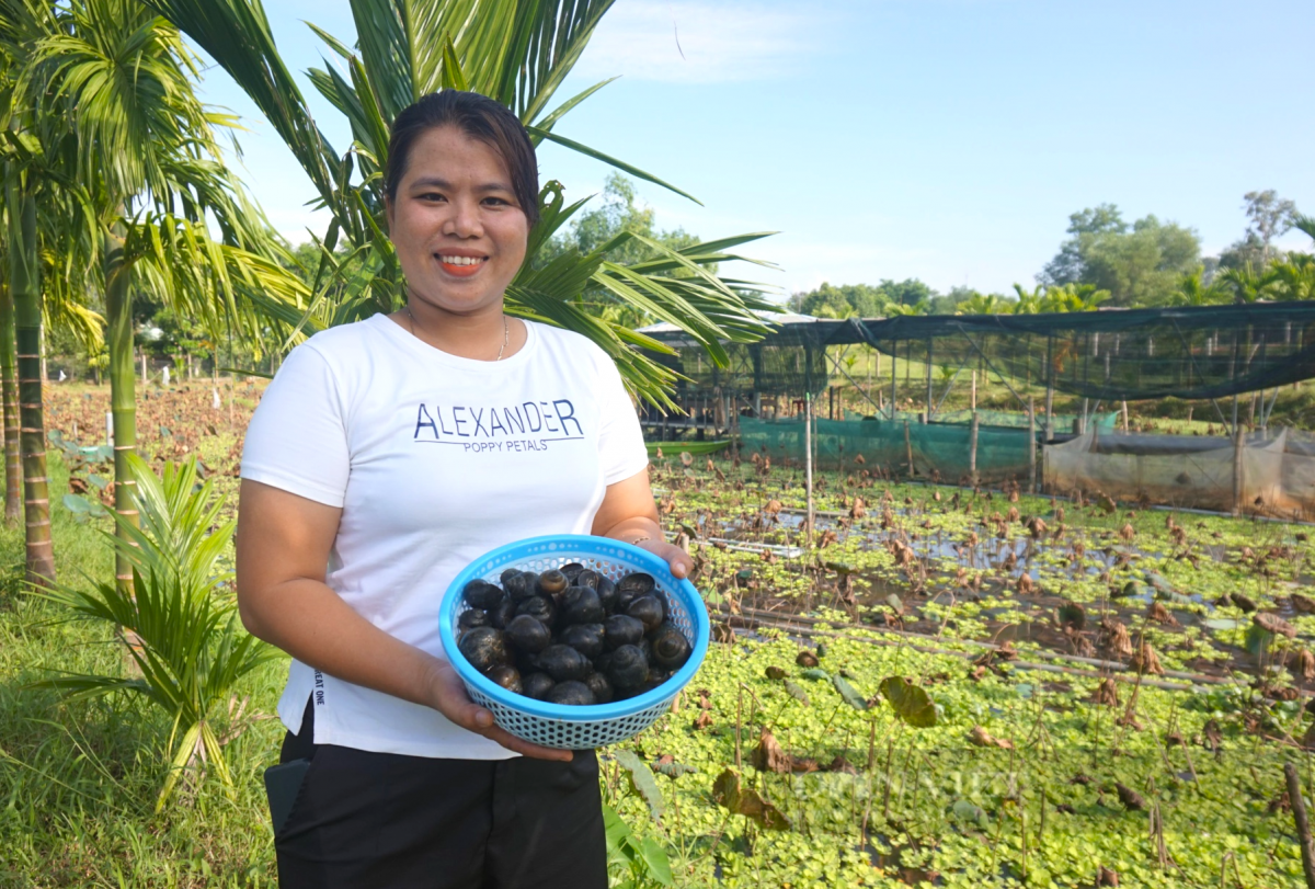 Chị Mai Thị Thu Sương bên ao nuôi ốc bươu đen tại xã Duy Xuyên, mô hình kinh tế mang lại hiệu quả cao, góp phần tạo việc làm và phát triển nông thôn bền vững.
