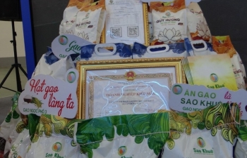 Gạo Ngọc Phố - Đặc sản xứ Thanh: Từ đồng ruộng đến bữa cơm gia đình