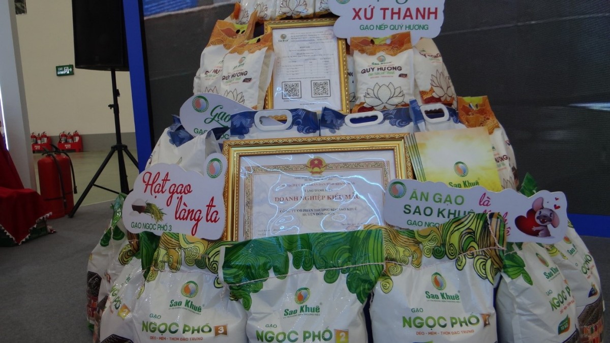 Gạo Ngọc Phố - Đặc sản xứ Thanh: Từ đồng ruộng đến bữa cơm gia đình