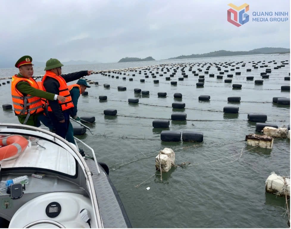Quảng Ninh: Xã Đầm Hà tháo dỡ 4,5ha nuôi trồng thủy sản trái phép