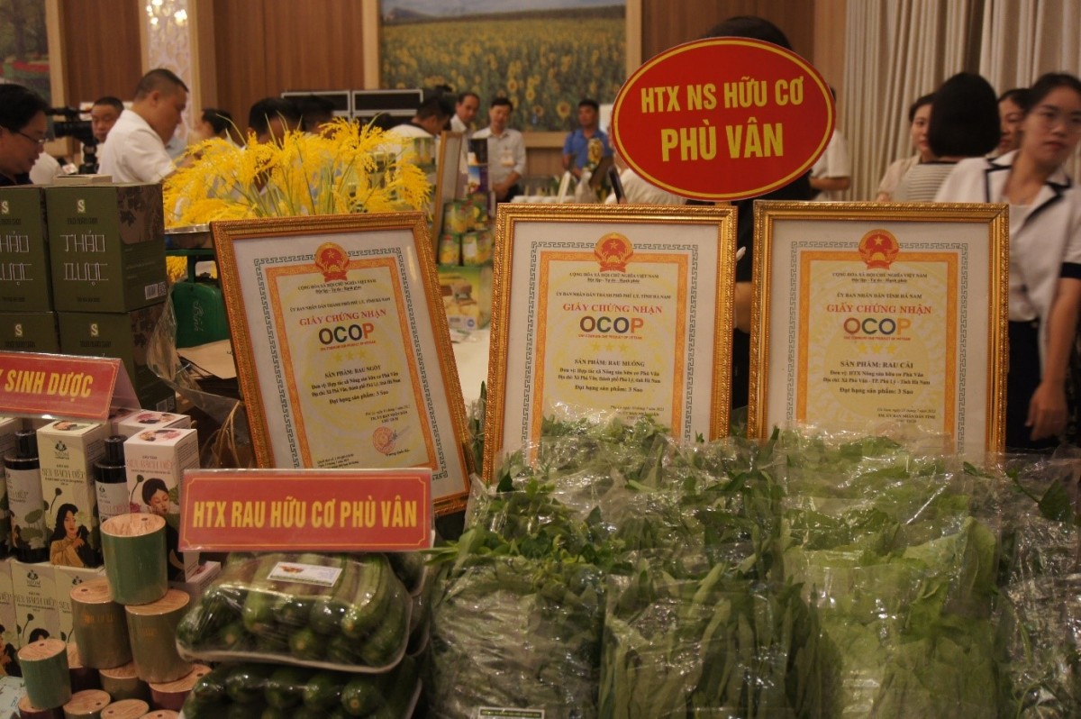 HTX Nông sản Phù Vân – Hướng đi bền vững từ nông nghiệp sạch OCOP