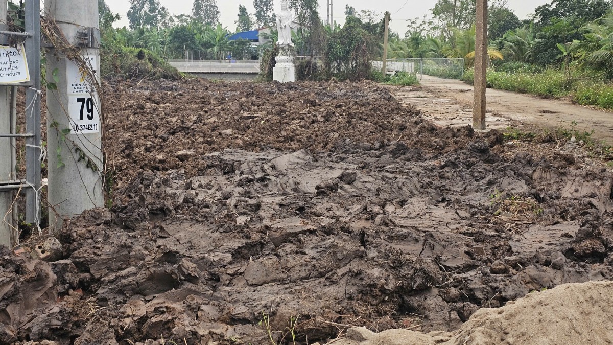 Hải Phòng: Hàng trăm mẫu ruộng 