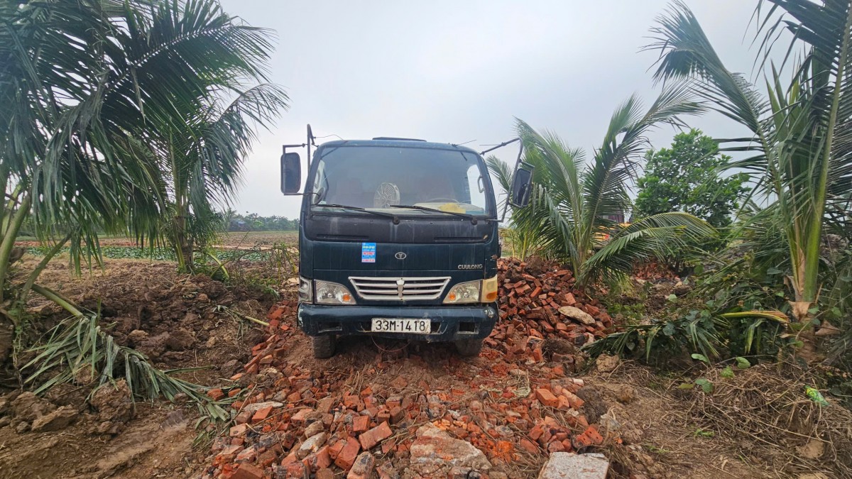 Hải Phòng: Hàng trăm mẫu ruộng 