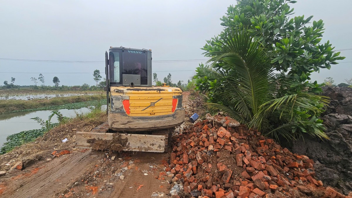 Hải Phòng: Hàng trăm mẫu ruộng 