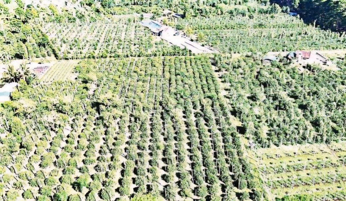 Xuất khẩu nông sản: 