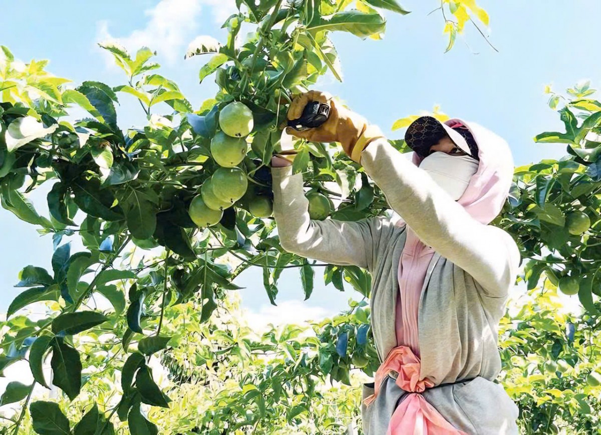 Xuất khẩu nông sản: 