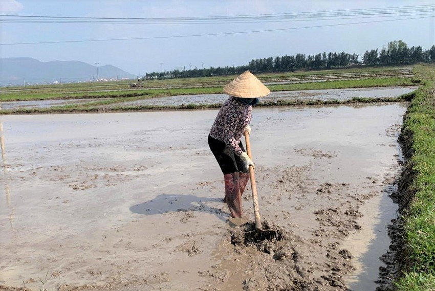 Nông dân Hà Tĩnh hướng tới sản xuất hữu cơ ngay từ đầu vụ Đông Xuân
