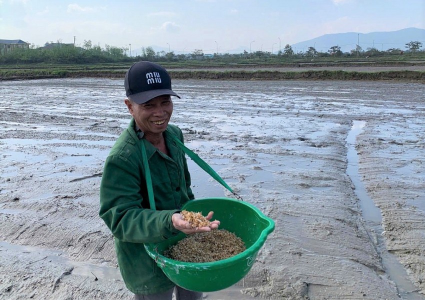 Nông dân Hà Tĩnh hướng tới sản xuất hữu cơ ngay từ đầu vụ Đông Xuân