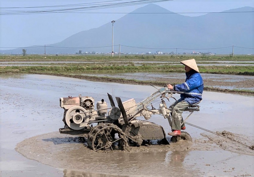 Nông dân Hà Tĩnh hướng tới sản xuất hữu cơ ngay từ đầu vụ Đông Xuân
