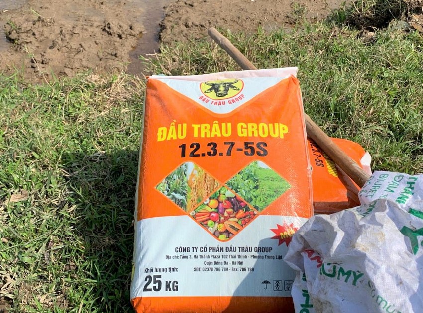 Nông dân Hà Tĩnh hướng tới sản xuất hữu cơ ngay từ đầu vụ Đông Xuân