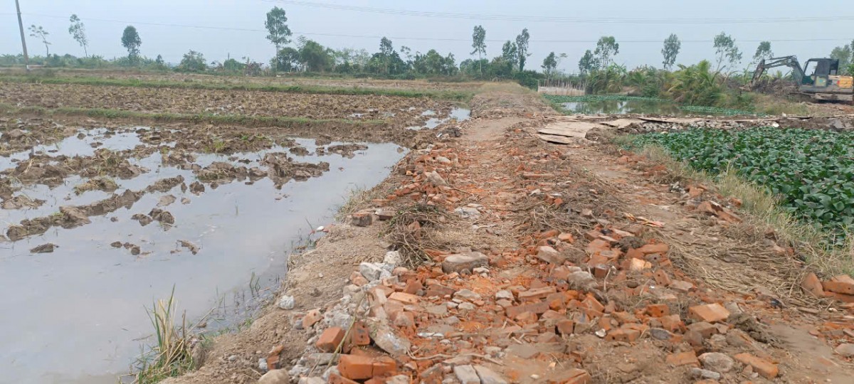 Hải Phòng: Hàng trăm mẫu ruộng 