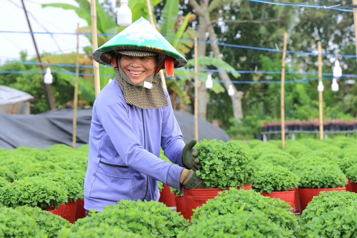 Kinh tế tuần hoàn ở ĐBSCL: Tiềm năng lớn nhưng chỉ "dám" đầu tư nhỏ