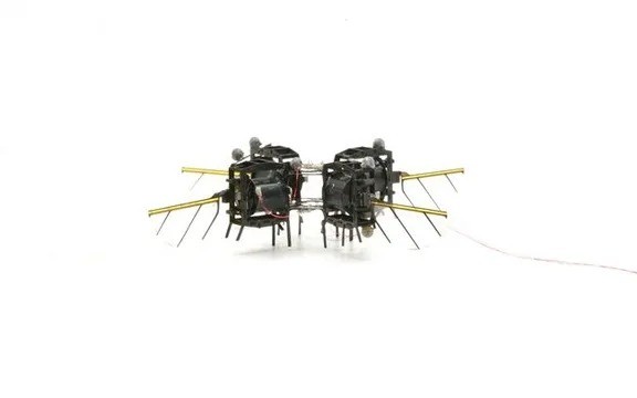 Phát triển robot siêu nhỏ có thể có thể thụ phấn nhân tạo cho cây trồng và thực phẩm - Cổng thông tin điện tử Cục Thông tin, Thống kê