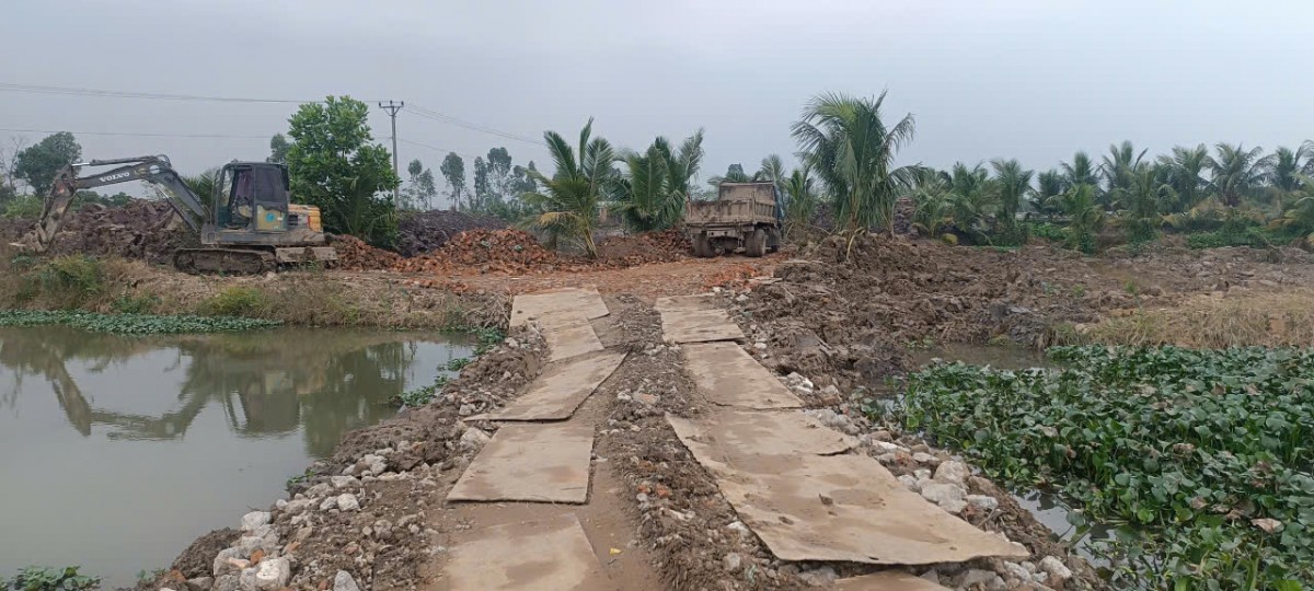 Hải Phòng: Hàng trăm mẫu ruộng 