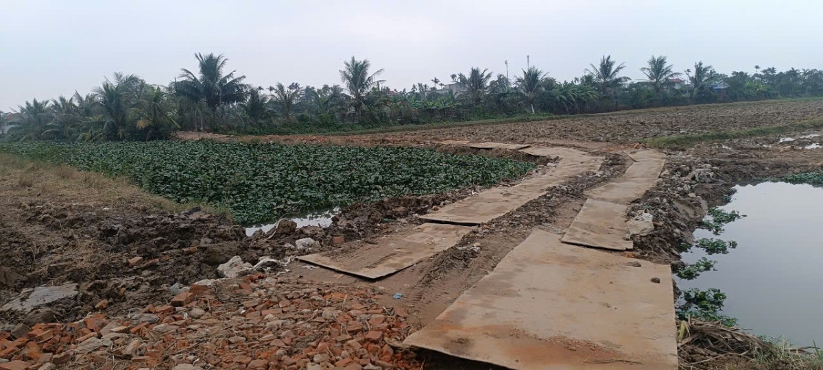 Hải Phòng: Hàng trăm mẫu ruộng 