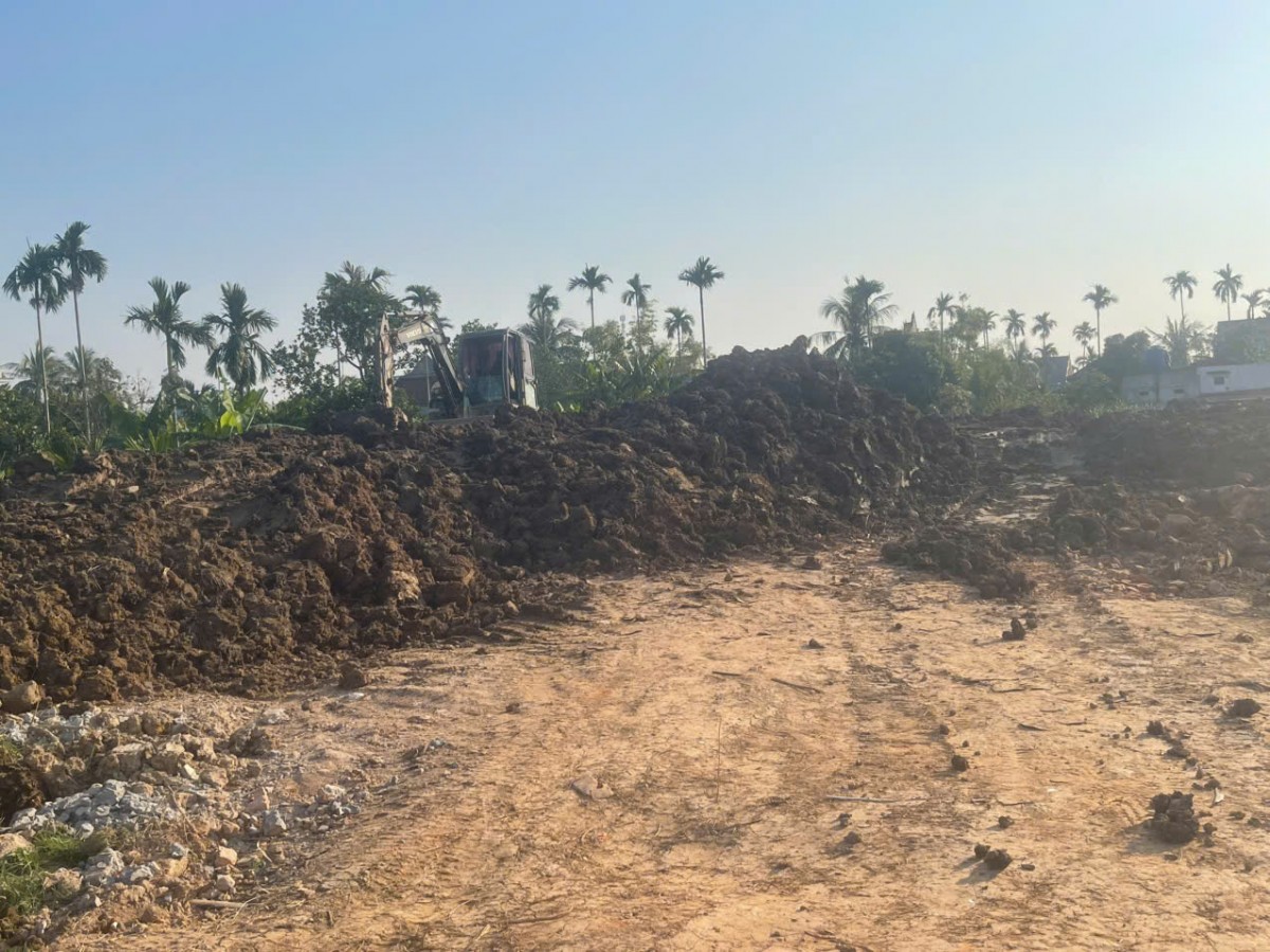 Hải Phòng: Hàng trăm mẫu ruộng 