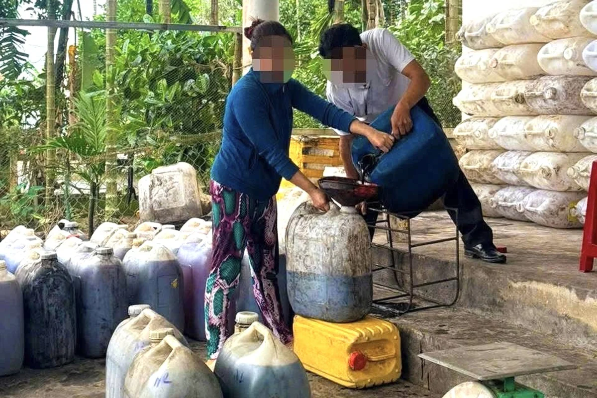 Ông P.Q.K. khai nhận thu mua dầu ăn, mỡ heo đã qua sử dụng từ các cơ sở kinh doanh ăn uống, lò quay heo để bán lại kiếm lời. 