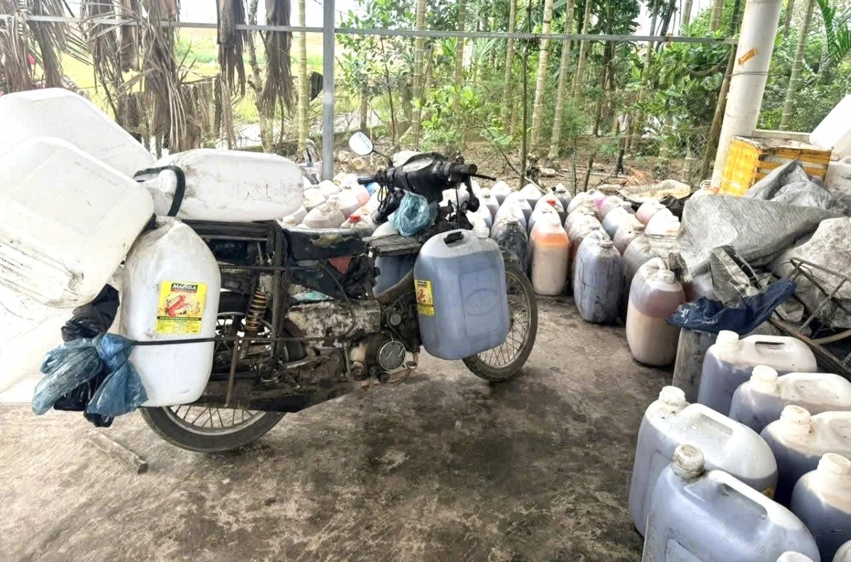 Số lượng lớn dầu ăn, mỡ heo đã qua sử dụng được chứa trong các can nhựa, bị Công an xã Phước Giang phát hiện, thu giữ khi đang chuẩn bị tuồn ra thị trường.
