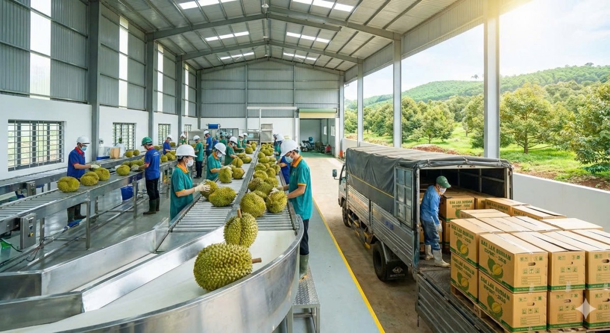 Đắk Lắk: Quyết tâm bứt phá, tăng trưởng bền vững và toàn diện trong năm 2026