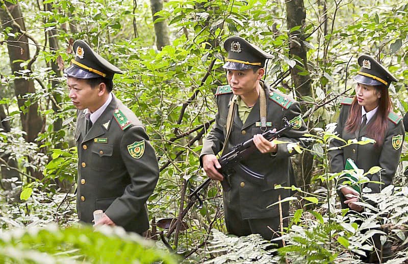 Khánh Hòa triển khai thực hiện Quy hoạch lâm nghiệp quốc gia thời kỳ 2021 - 2030