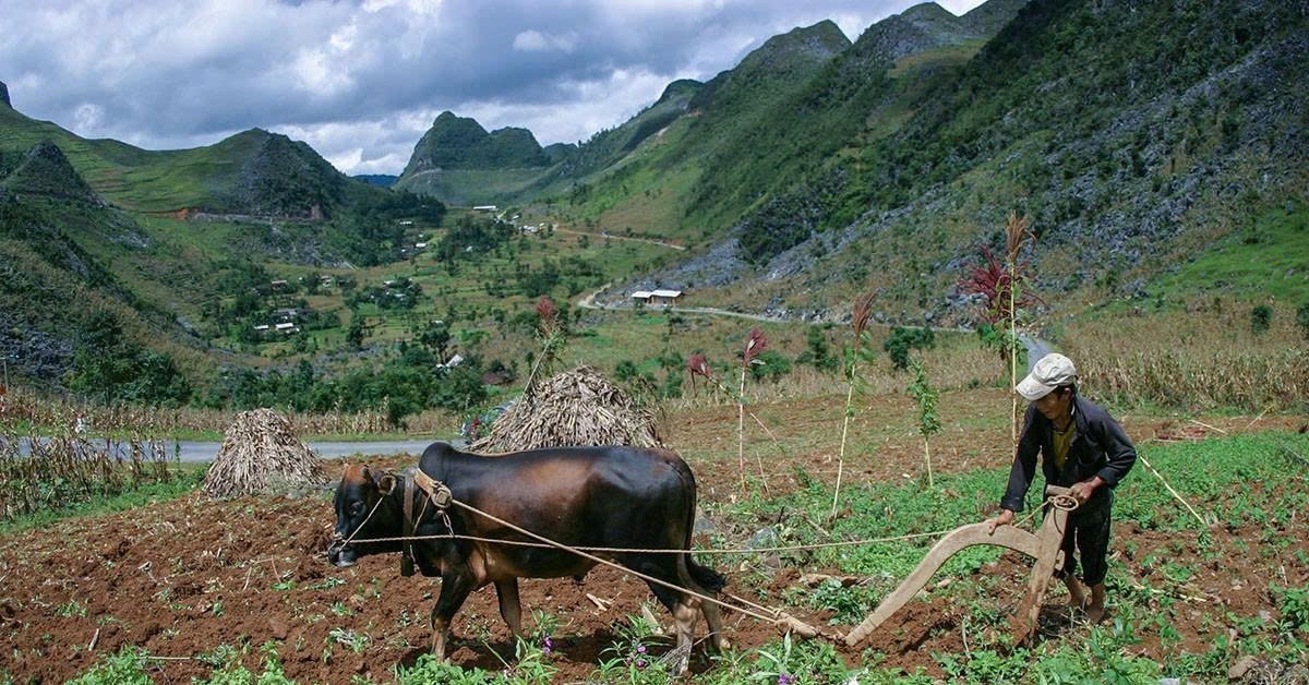 Lâm Đồng ban hành chính sách mới về hỗ trợ đất đai cho đồng bào dân tộc thiểu số
