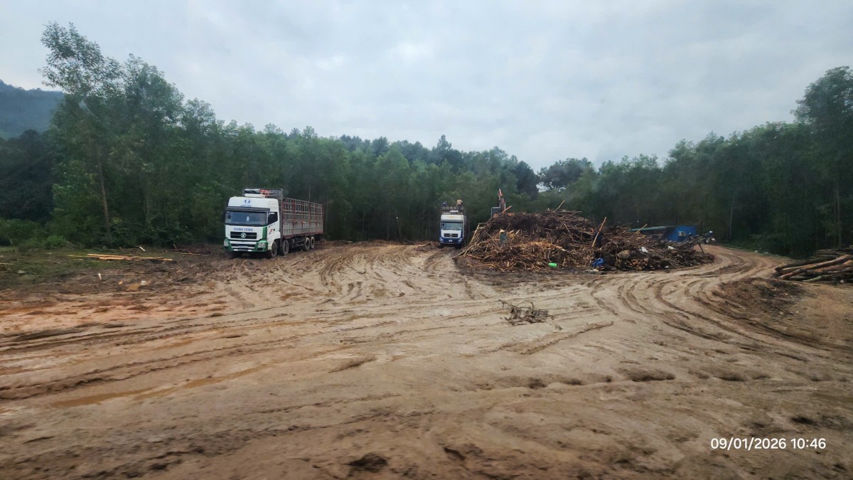 ...và dấu hiệu hệ luỵ từ việc xây dựng trạm cân trái phép tại xã Lộc An, Tp. Huế