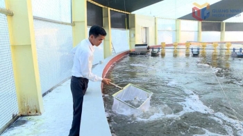 Quảng Ninh đặt mục tiêu sản lượng thủy sản hơn 203.000 tấn trong năm 2026
