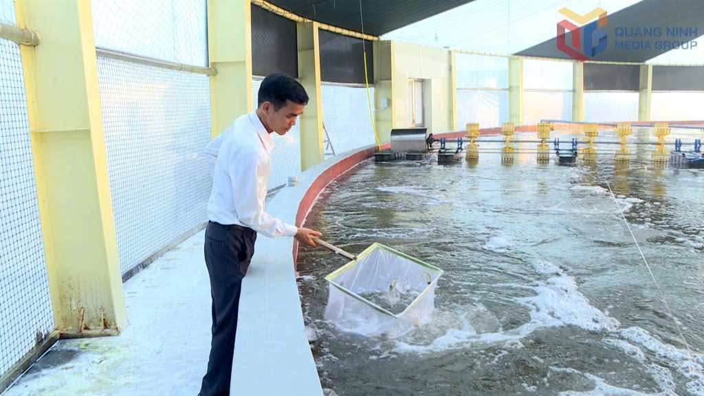 Quảng Ninh đặt mục tiêu sản lượng thủy sản hơn 203.000 tấn trong năm 2026