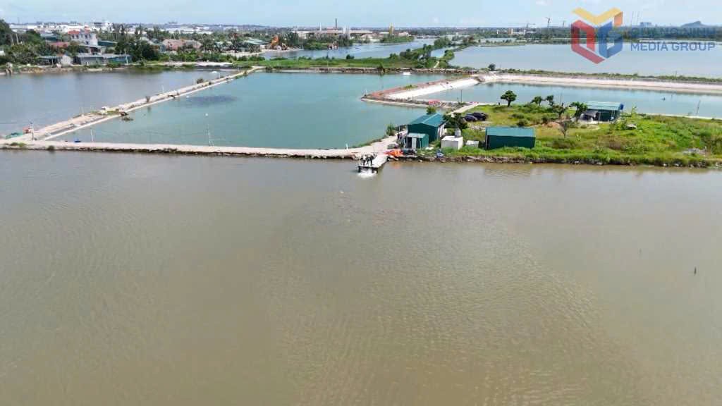 Quảng Ninh đặt mục tiêu sản lượng thủy sản hơn 203.000 tấn trong năm 2026